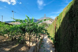 Chalet en venta en Padul