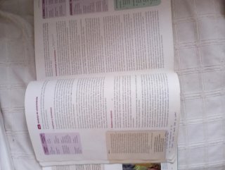 Lengua castellana y Literatura 1 y Filosofía 1° ba