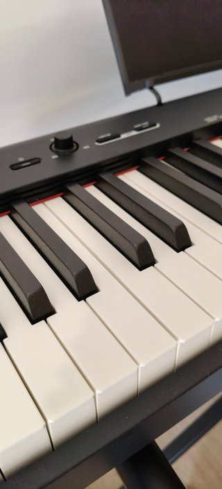 Piano Digital Casio S100