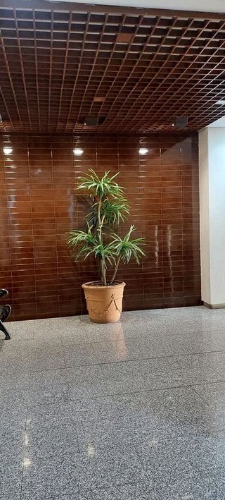 Piso en venta en Los Remedios en Sevilla