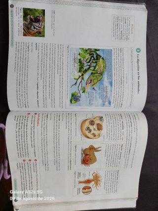 Libro de Biología,Geolog. y Cien. 1° Bach Oxford
