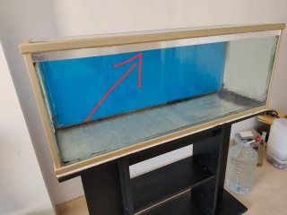 Acuario 120L con mesa y tapa cristal