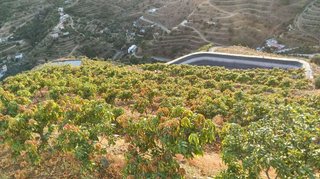Casa rural en venta en Almuñecar en Almuñécar