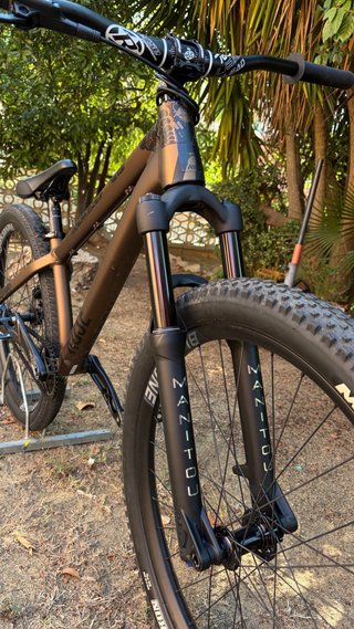 Rose The Bruce1 (Dirt Jump) Bike
