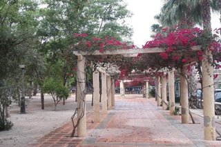 Piso en venta en Callosa de Segura
