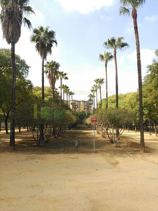 Piso en venta en Los Pájaros en Sevilla