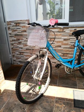 Bicicleta azul con cesta