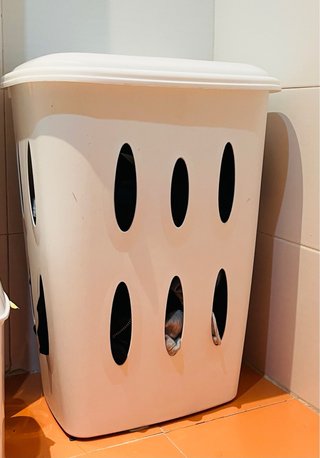 Cesta de ropa blanca de plástico