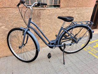 Bicicleta Paseo talla L