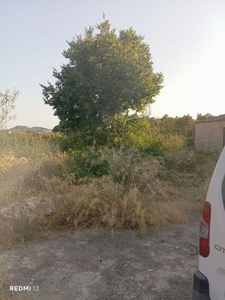 Casa rural en venta en Felanitx centro en Felanitx
