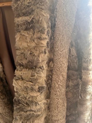 Chaquetón de astracán beige y marrón