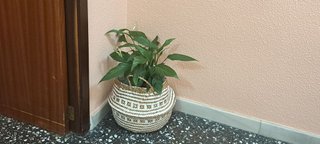Piso en venta en La Raïosa en Valencia