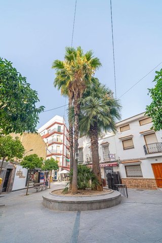 Piso en venta en Centro Ciudad en Linares