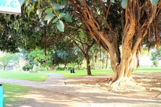 Estudio en venta en Parque de la Paloma en Benalmádena