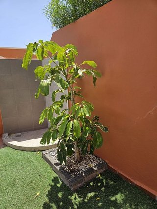 Casa adosada en venta en Zona Centro en Puerto del Rosario
