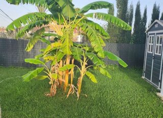 Piso en venta en Calaburra - Chaparral en Mijas