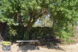 Chalet en venta en Cabra del Camp