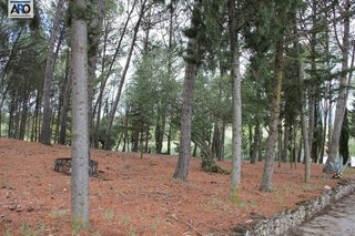 Casa rural en venta en Partidas norte en Ronda