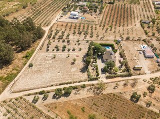 Casa rural en venta en Palma del Condado (La)