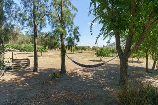 Casa rural en venta en Palma del Condado (La)