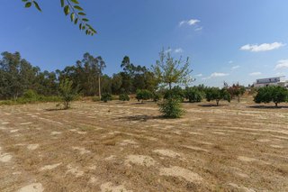 Casa rural en venta en Palma del Condado (La)
