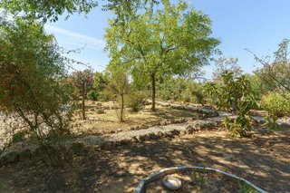 Casa rural en venta en Palma del Condado (La)