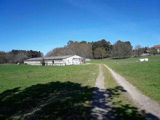 Chalet en venta en Amoeiro