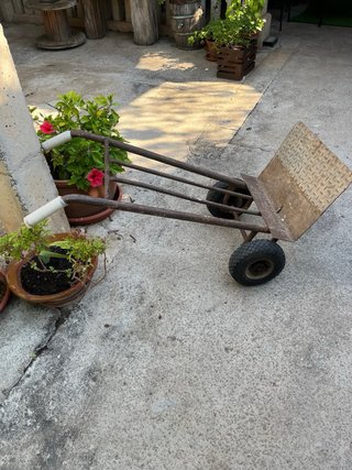 Carretilla de trabajo robusta