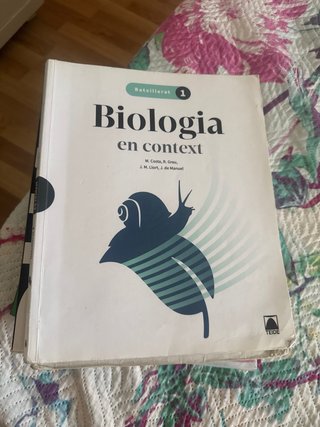 Libros 1 bachillerato Ins Cassa de la Selva