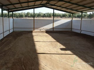 Casa rural en venta en Morón de la Frontera