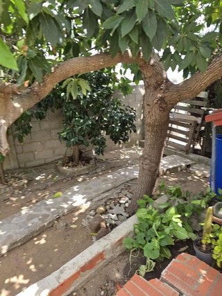 Casa pareada en venta en La Granja-La Colina-Los Pastores en Algeciras