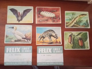 Cromos Pantera Rosa Antiguos 70s 80s