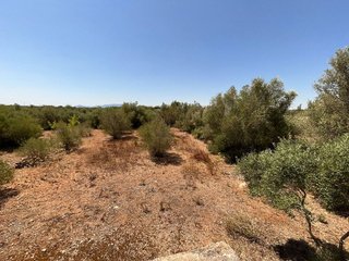 Chalet en venta en Roquetes