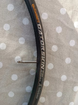 Ruedas Campagnolo Bora One 35 Tubular