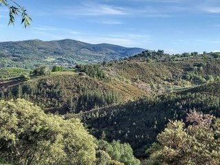 Chalet en venta en Fabero