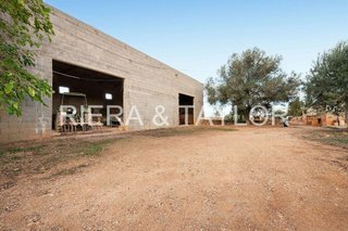 Casa rural en venta en Manacor Centro en Manacor