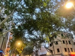 Piso en venta en Marquès de la Fontsanta - Pere Garau en Palma de Mallorca