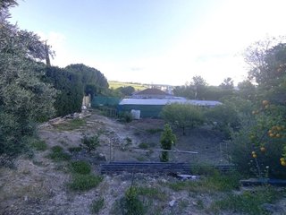 Chalet en venta en Écija