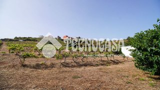 Casa rural en venta en Sauzal (El)