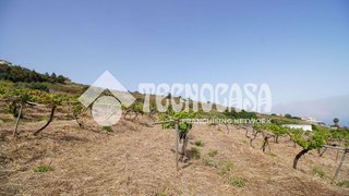 Casa rural en venta en Sauzal (El)