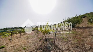 Casa rural en venta en Sauzal (El)