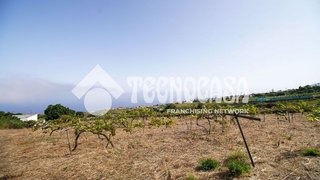 Casa rural en venta en Sauzal (El)