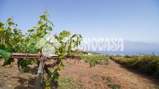 Casa rural en venta en Sauzal (El)