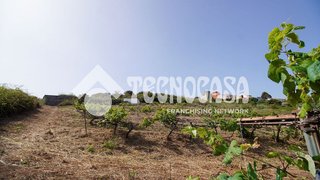 Casa rural en venta en Sauzal (El)