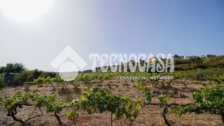 Casa rural en venta en Sauzal (El)