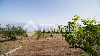 Casa rural en venta en Sauzal (El)