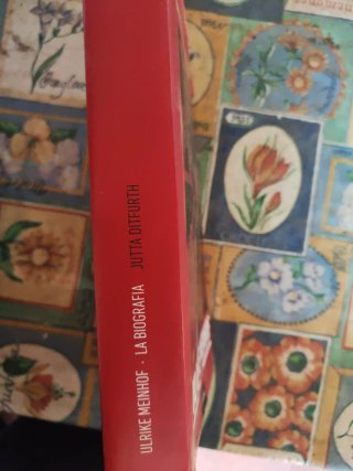 Ulrike Meinhof la biografia