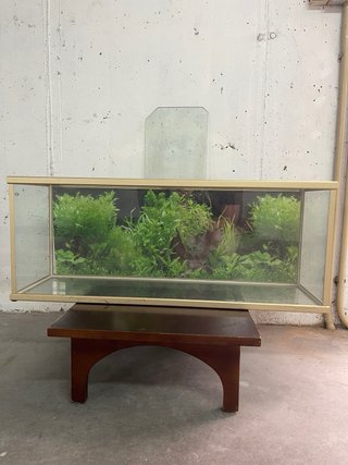 Pecera 120L con marco dorado