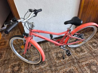 Bicicleta Infantil Riverside color coral talla 24