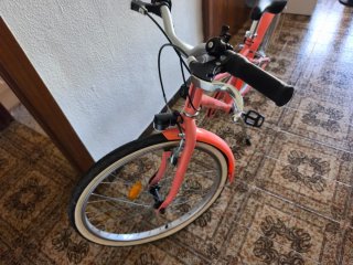 Bicicleta Infantil Riverside color coral talla 24
